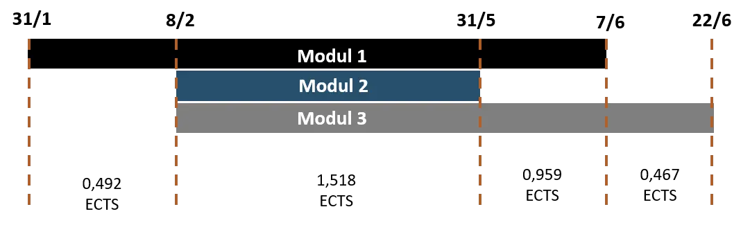 Diagram der illustrerer et eksempel om kombination af moduler